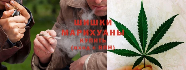 ешки Богородск