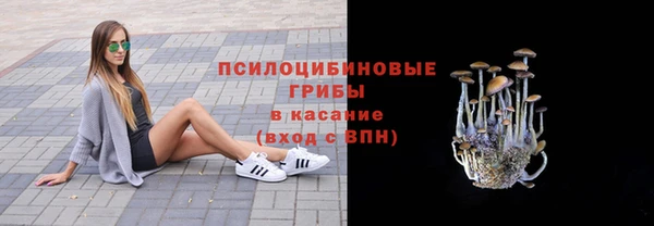 ешки Богородск
