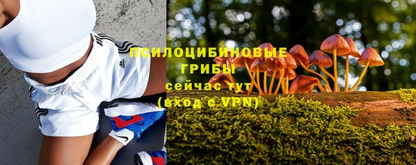 a pvp Богданович