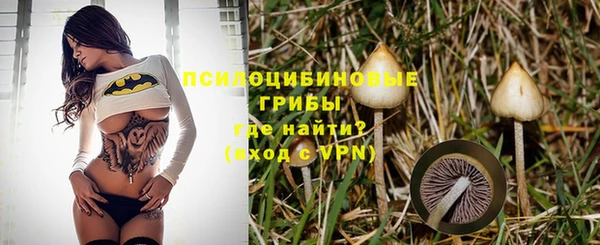 ешки Богородск