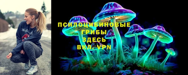 a pvp Богданович