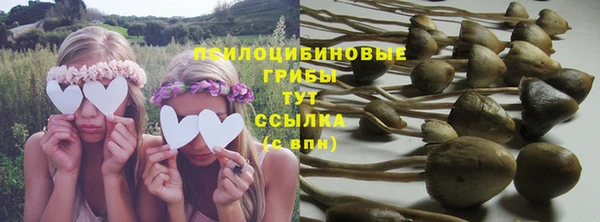 a pvp Богданович
